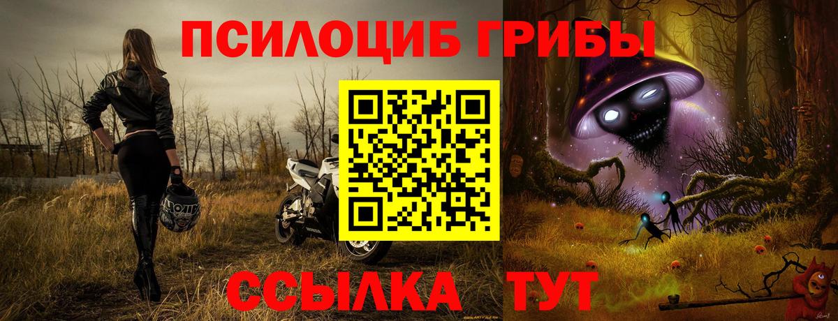 Псилоцибиновые грибы Cubensis  Галлюциногенные грибы Psilocybe  Бирск  Вход с VPN 